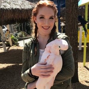 Meet your Posher, Romo